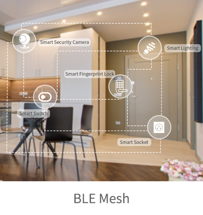 BLE Mesh