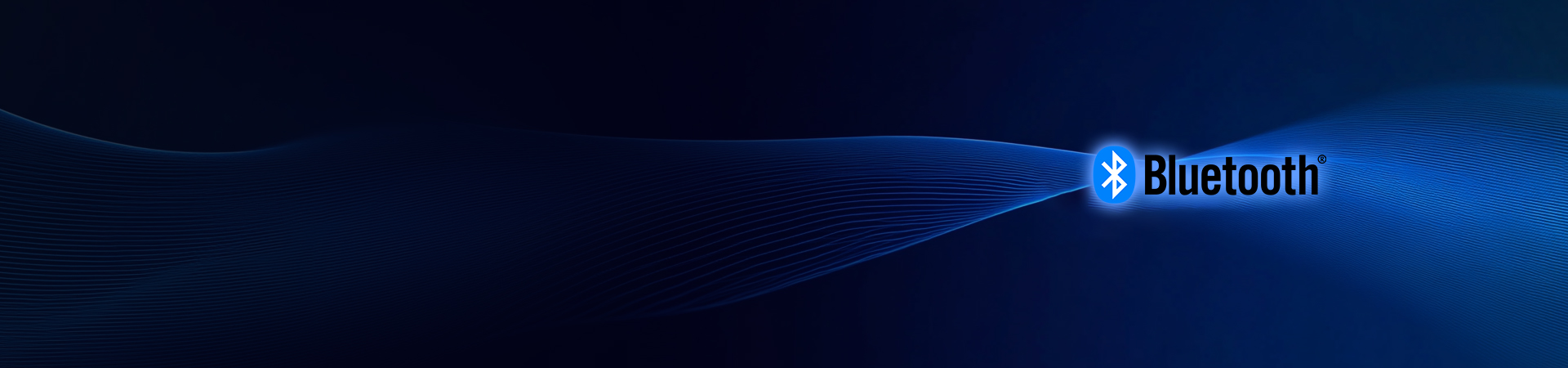 Top Banner